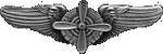 Areal gunner badge