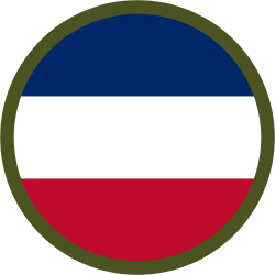 United States Army Forces Command SSI.svg